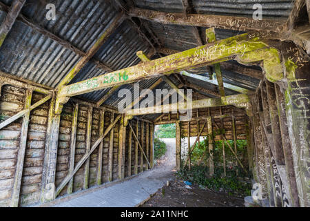 Interno di un abbandonate abbandonate la barca di legno capannone coperto di graffiti. Foto Stock
