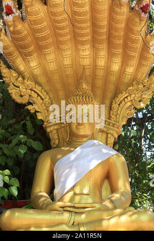 Na Plok. Bouddha. Wat Simuong. Wat Si Muang. Vientiane. Laos. / Na Plok Buddha sotto il Bodhi Tree. Wat Simuong. Wat Si Muang. Vientiane. Laos. Foto Stock