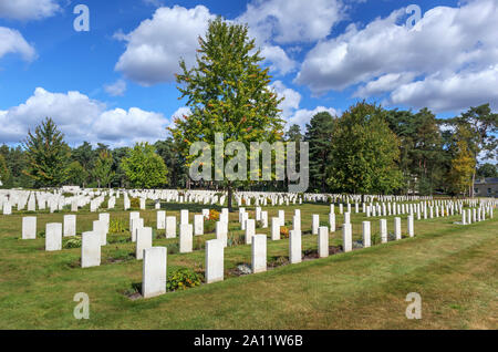 Righe di lapidi nella sezione canadese del cimitero militare di Brookwood cimitero di Pirbright, Woking, Surrey, Inghilterra sudorientale, REGNO UNITO Foto Stock