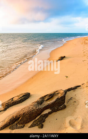 E deserta spiaggia paradisiaca su Ilhabela isola sulla costa nord di Sao Paulo, Brasile durante il tardo pomeriggio Foto Stock