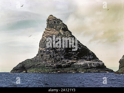 St Kilda. Un'isola del gruppo giacenti circa 40 miglia fuori nell'Oceano Atlantico. Stac un Armin detiene 1000s di nidificazione sule. La Scozia. Foto Stock
