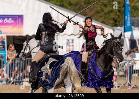 Equestrienne mostra bravata display a cavallo presso il National Paese mostrano Live a Hylands Park, Chelmsford Essex, Regno Unito. Horse event team Foto Stock