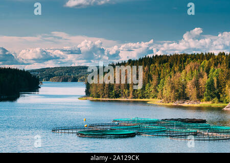 La pesca, allevamento ittico In Estate Lago o fiume in estate bella giornata di sole. La natura svedese, Svezia. Foto Stock
