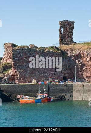 Dunbar castello affacciato sul Porto Victoria, Dunbar. Scozia Foto Stock