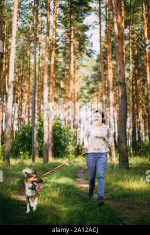 Attivo Adulto Giovane Donna caucasica in esecuzione con il proprio cane in estate foresta verde. Attiva uno stile di vita sano sulla natura. Foto Stock