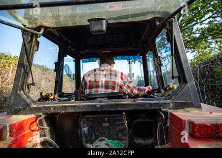 Il trattore, moderna agricoltura, Rosso, Retail, apparecchiature agricole, settore agricolo, macchine agricole, Business, immagine a colori, terreni commerciali Foto Stock