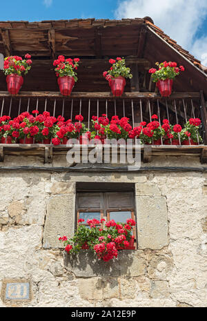 Dettagli architettonici di finestra e balcone con pelargoniums, Ochagavía - Otsagabia, Navarra (Navarra), Spagna Foto Stock