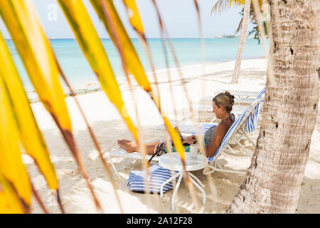 Donna adulta executive utilizzando laptop sulla spiaggia, Grand Cayman Island Foto Stock