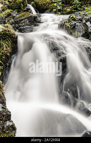 Tom Gill scende al di sotto di Tarn Hows, vicino a Coniston, Lake District, Cumbria, Inghilterra Foto Stock