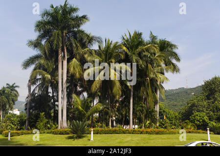 Acapulco, Avenue Costera Miguel Aleman Foto Stock