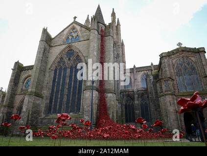 Il pianto della finestra di visualizzazione di papavero a Hereford Cattedrale come parte del 14-18 ora programma di eventi per celebrare il centenario della prima guerra mondiale. Foto Stock