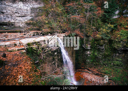 Vista della cascata di autunno in foresta dip Foto Stock