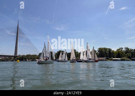 Belgrado, Serbia, Agosto 18, 2019: Tre-persona scuderie concorrenti nella classe Micro regata a vela sul fiume Sava Foto Stock