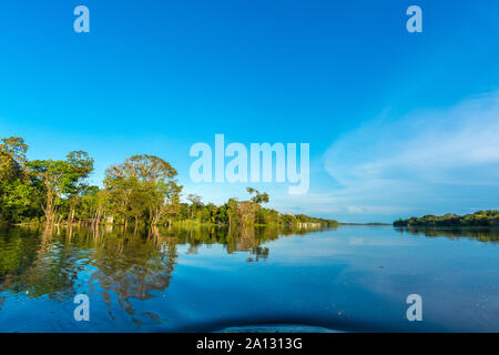 Foresta pluviale brasiliana alla fine della stagione delle piogge in maggio, Mamirauá lo sviluppo sostenibile Riserva, Rio Japurá,Tefé, stato di Amazzonia, Brasile, dell'America Latina Foto Stock