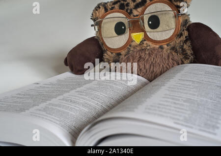 Il Gufo giocattolo con gli occhiali sulla lettura di un dizionario 2