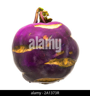 Viola il cavolo rapa 3d rendering fotorealistici con texture isolati su sfondo bianco Foto Stock