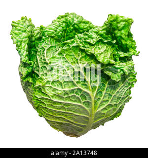 Cavolo verza close-up 3d rendering fotorealistici con texture isolati su sfondo bianco Foto Stock