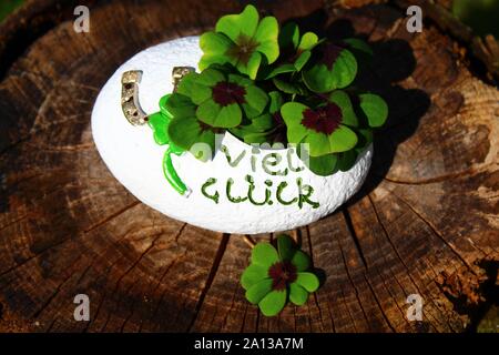 La foto mostra Lucky Clover su legno unterground. Foto Stock