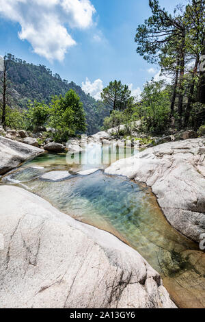 Flusso di fiume Purcaraccia nel Canyon in Bavella durante l'estate. Corsica Francia Foto Stock
