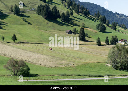 Vista orizzontale dei contadini di montagna prati di taglio e raccolta di fieno e paglia nelle valli delle Alpi Svizzere Foto Stock