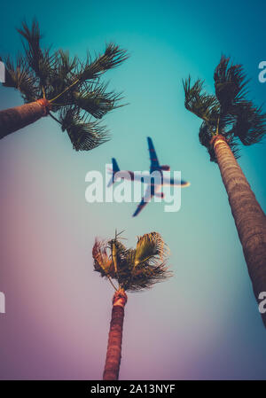 Immagine di vacanza di un aereo di linea Flying Overhead tre Palme ai tropici Foto Stock