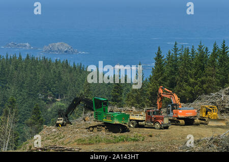 O: Contea di Curry, Curry centrale costa della contea, oro zona spiaggia, spiaggia d'oro. Operazione di registrazione in montagna alta sopra la spiaggia d'Oro [chiedere n. 278.271. Foto Stock