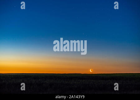 La calante Crescent Moon Rising in stretta congiunzione con Aldebaran. Foto Stock