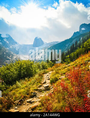 Le Guglie Bugaboo Parco Provinciale, British Columbia, Canada su un soleggiato autunno autunno il giorno Foto Stock
