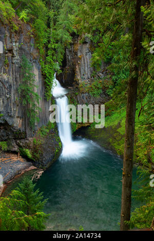 Toketee Falls, Umpqua National Forest, Rogue-Umpqua National Scenic Byway, Oregon Foto Stock