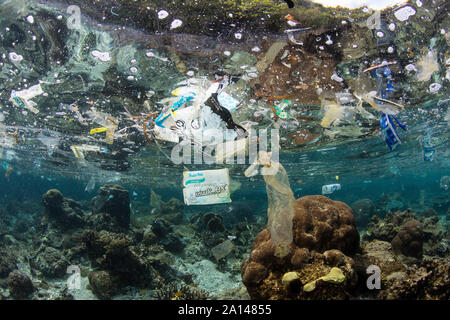 Scartati i sacchetti di plastica e altri rifiuti di fluttuare al di sopra un poco profondo la barriera corallina. Foto Stock