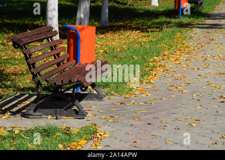 Le foglie sono di colore giallo sul terreno. Foglie di autunno autunno. Foto Stock