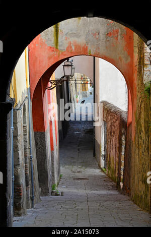 Tuscania (Italia) - Una splendida cittadina etrusca e medievale in provincia di Viterbo, Tuscia, regione Lazio. Si tratta di un'attrazione turistica per molte chiese Foto Stock