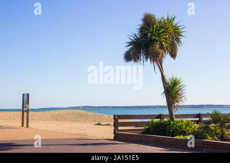 Nella tarda estate del sole sulla costa di Hampshire spiaggia ghiaiosa vicino a Fareham sulla costa sud dell'Inghilterra con l'Isola di Wight a distanza Foto Stock