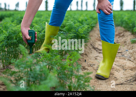 Misurare suolo con il dispositivo digitale. Piante verdi e contadina misurare il PH e umidità nel suolo. Alta tecnologia concetto di agricoltura. Foto Stock