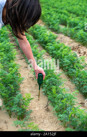 Misurare suolo con il dispositivo digitale. Piante verdi e contadina misurare il PH e umidità nel suolo. Alta tecnologia concetto di agricoltura. Foto Stock