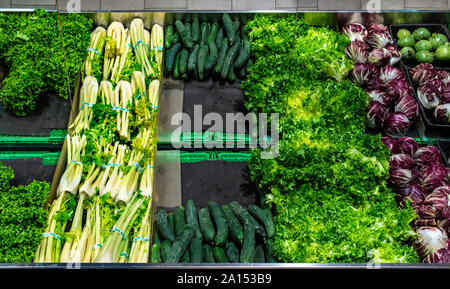 Le verdure sul ripiano in un supermercato. Il finocchio, cetrioli, lattuga e radicchio. Foto Stock