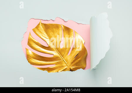 Una foglia di monstera tropicale pianta è dipinto in colore oro contro uno sfondo di una rottura della carta strappata foro. Sfondo rosa. Il concetto di arte minimali Foto Stock