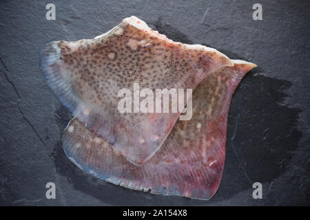 Materie non cotti e non scuoiata ray ali da un thornback ray, Raja clavata. Ardesia scuro dello sfondo. Il Dorset England Regno Unito GB. Foto Stock