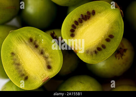 Bacche di Kiwi, uno dimezzato sulla parte superiore Foto Stock