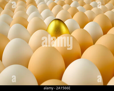 Golden Egg tra un grande gruppo di uova Foto Stock