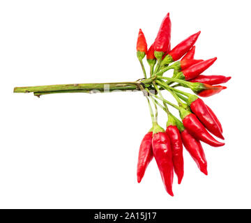Mazzetto di carni rosse poco peperoncino (peperoncini) tagliati su bianco cackground Foto Stock