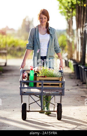 Bella donna il trasporto di piante con una carriola in serra Foto Stock