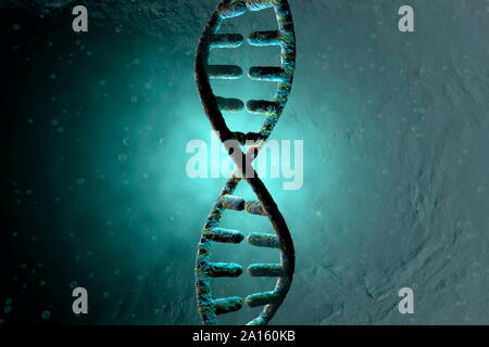 3D reso illustrazione, la visualizzazione di un DNA a doppia elica che portano i geni di un organismo biologico Foto Stock
