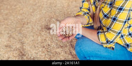 Mano del contadino che mostra la qualità dei chicchi di grano, close up Foto Stock