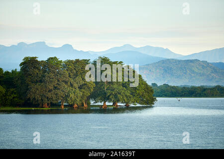 Vista della penisola al serbatoio di Udawalawe, Udawalawa National Park, Sri Lanka Foto Stock