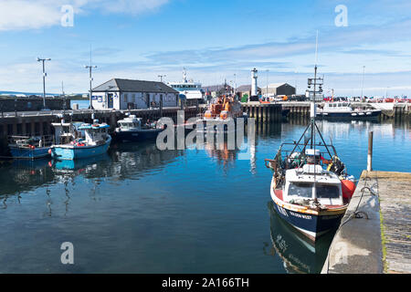 Dh porto a Kirkwall KIRKWALL ORKNEY barca da pesca Barche Foto Stock