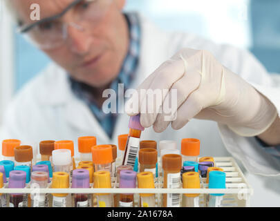 Medical tecnico verifica di campioni di sangue in laboratorio Foto Stock