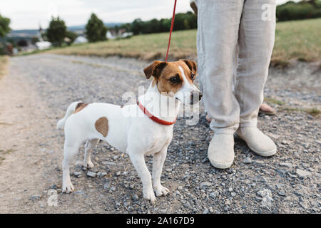 Close-up del ragazzo con cane su sterrato Foto Stock