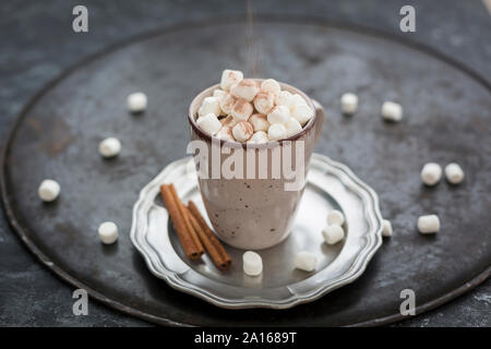 Spolverata di cacao in polvere sulla tazza di cioccolata calda con marshmellows Foto Stock