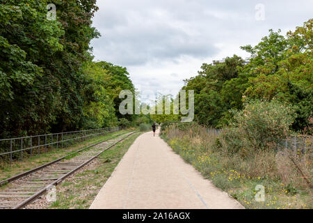 Vecchia ferrovia della Petite Ceinture a Parigi Foto Stock